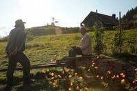 Die einfachen Dinge Bild #4