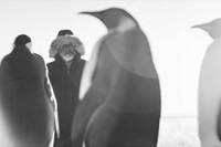 Rückkehr zum Land der Pinguine Bild #1