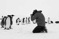 Rückkehr zum Land der Pinguine Bild #6