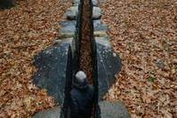 Leaning into the wind - Andy Goldsworthy (OmU) Bild #10