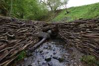 Leaning into the wind - Andy Goldsworthy (OmU) Bild #4